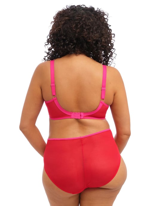 Elomi Kintai Full Brief