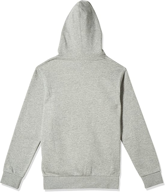 Womens Champion Script Logo Hoody in Grey