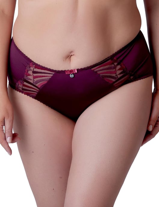 B534 Berlei Embrace Midi Brief - Image 1