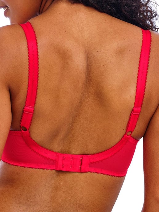 Loveland Sheer Plunge Bra - Boudoir Noir