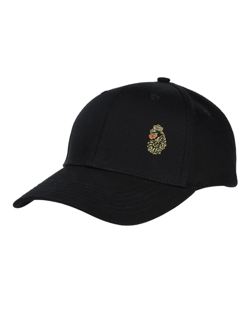 Luke 1977 Men's 808 Skate Cap in Black