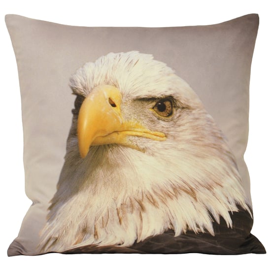 Animal Eagle 45X45 Poly Cushion - Image 1