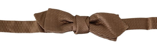 Dolce & Gabbana Men Brown Gold Adjustable Neck Papillon Bow Tie - Image 1