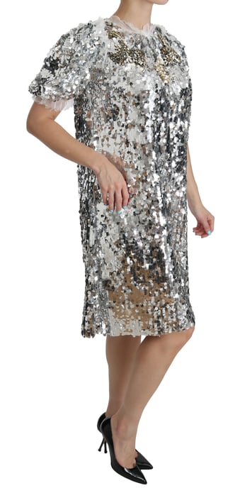 Dolce & Gabbana Silver Paljetterad Kristallskift Klänning - Image 2