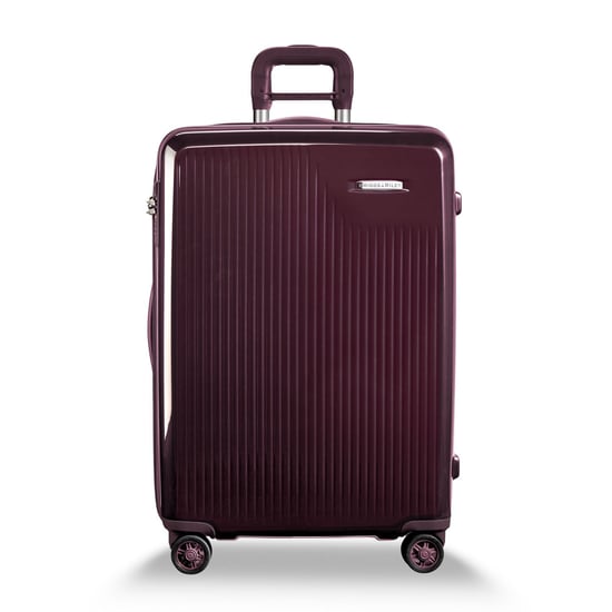 Sympatico Medium Expandable Spinner