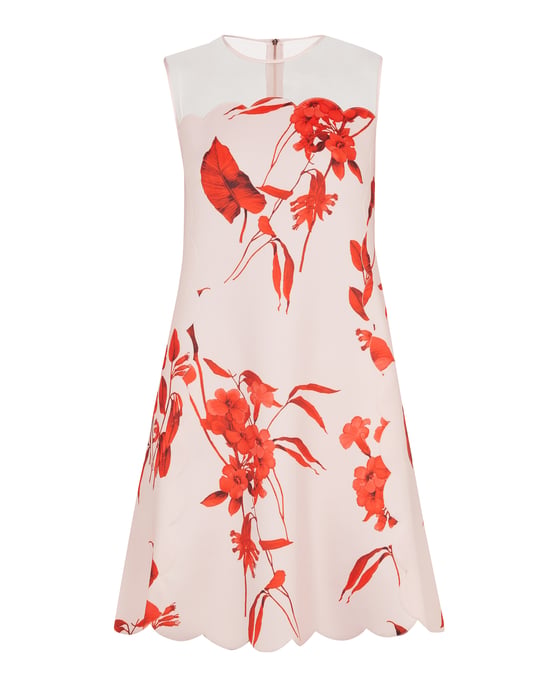 Ted Baker Jaazmin Fantasia Scallop Mini Dress in Pale Pink