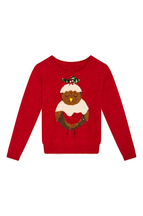 Pudding Robin Jumper