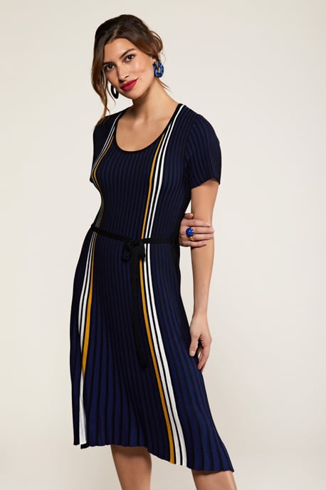 Navy Stripe Knit Pleated Dress