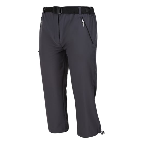 Regatta Womens/Ladies Xert Stretch Casual Shorts (Seal Grey)