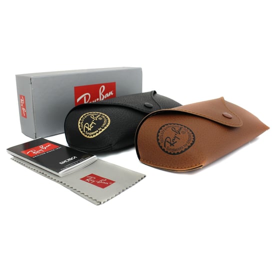 Ray-Ban Sunglasses Andy 4202 607313 Matt Brown Brown Gradient