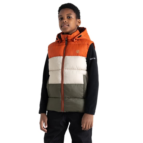Regatta Childrens/Kids Jolly Padded Gilet (Rooibos Tea/Lichen Green)