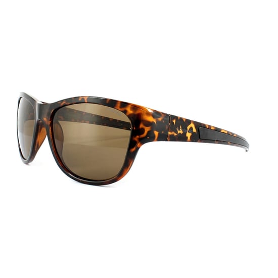 Polaroid Sunglasses PLD 3014S V08 IG Havana Brown Polarized