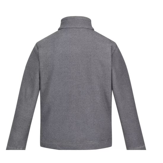 Regatta Mens Garrian II Full Zip Fleece Jacket (Ash)