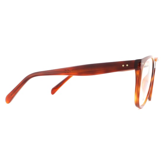 Celine Round Blonde Havana Womens Glasses Frames - Image 4