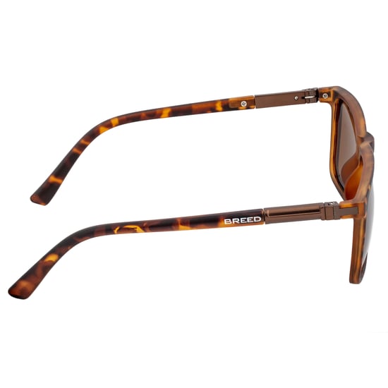 Breed Caelum Polarized Sunglasses