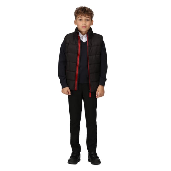 Regatta Childrens/Kids Scholar Thermal Body Warmer (Black/Classic Red)
