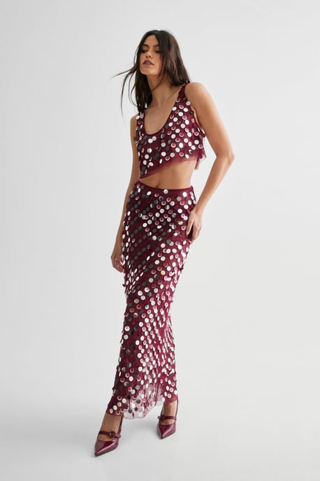 Mesh Embellished Sheer Maxi Skirt