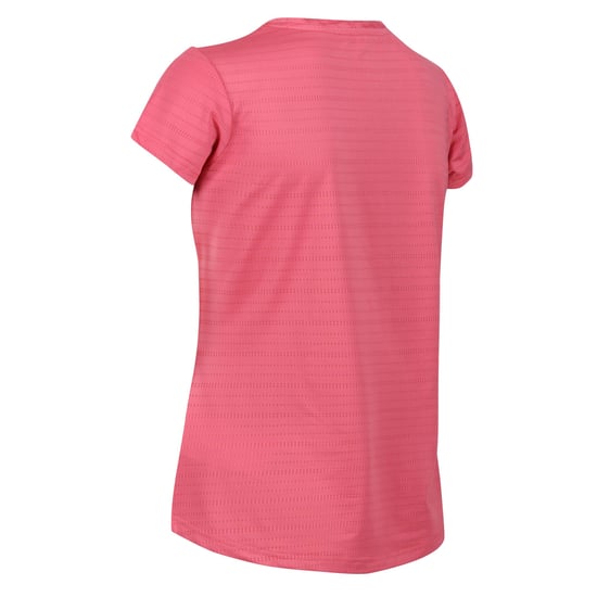 Regatta Womens/Ladies Limonite VI Active T-Shirt (Fruit Dove)