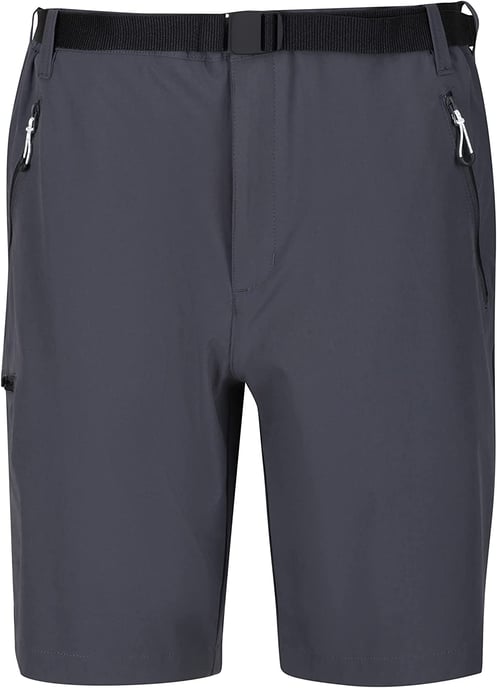 Regatta Mens Xert III Stretch Shorts (Seal Grey) - Image 1