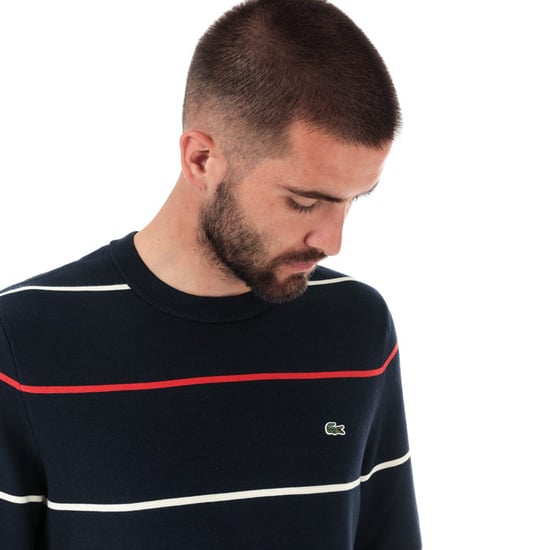 Men's Lacoste Crew Neck Striped Cotton Sweatshirt in Blue - Image 5