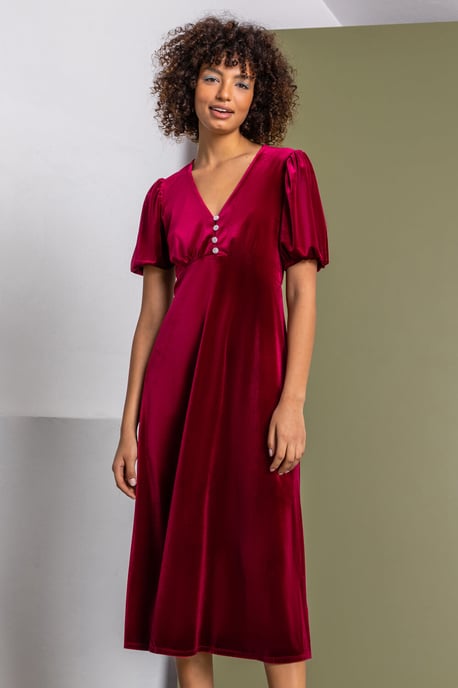 Velvet Button Detail Fit & Flare Dress