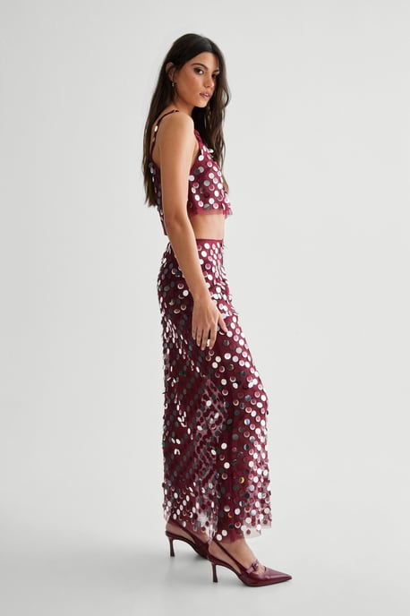 Mesh Embellished Sheer Maxi Skirt