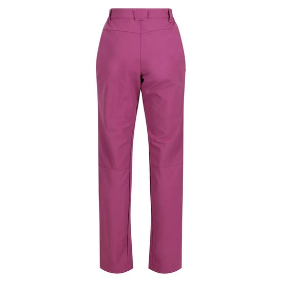 Regatta Womens/Ladies Questra IV Stretch Hiking Trousers (Amaranth Haze)