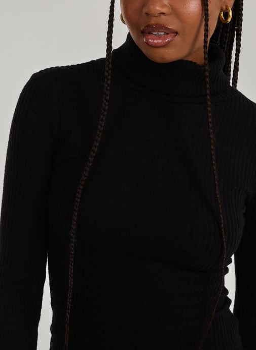 Chunky Brushed Rib Roll Neck Dress