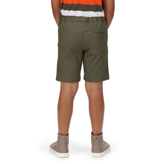 Regatta Childrens/Kids Alber Ottoman Shorts (Grape Leaf)
