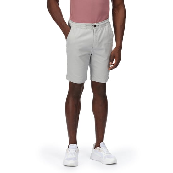 Regatta Mens Albie Shorts (Silver Grey) - Image 1