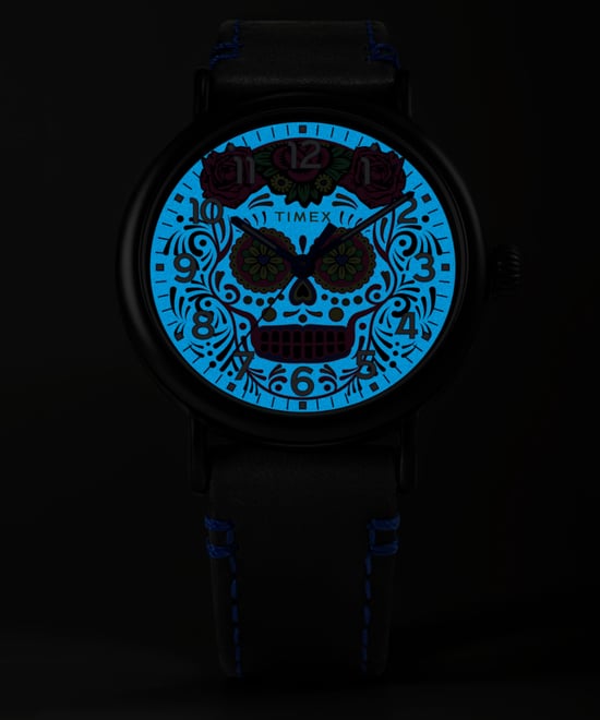 Timex Waterbury Standard Dia De Los Muertos Men's Black Watch TW2V67600 - Image 4