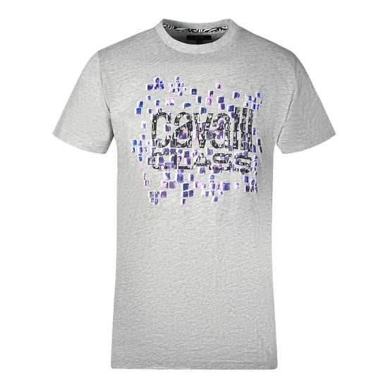 Cavalli Class Skala Design Logotyp Grå T-shirt - Image 1