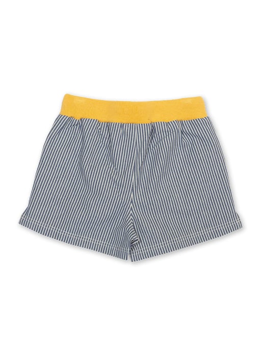 Kite Clothing Bumble Shorts
