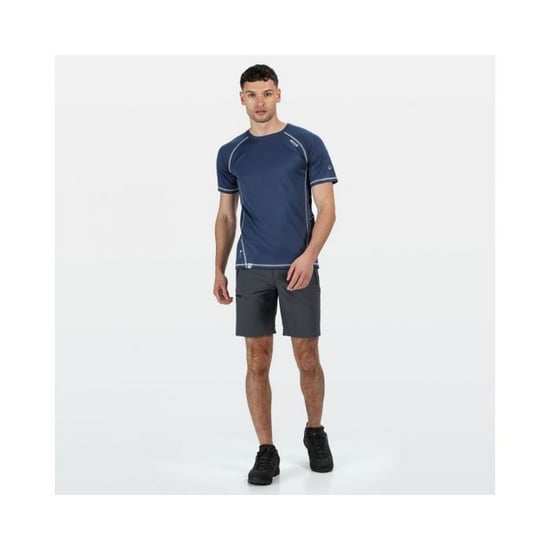 Regatta Heren Xert III Stretch Shorts (Afdichting Grijs) - Image 6