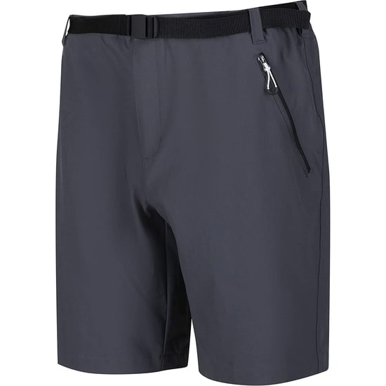Regatta Heren Xert III Stretch Shorts (Afdichting Grijs) - Image 3