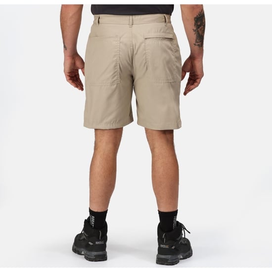 Regatta Mens New Action Sports Shorts (Lichen Green)