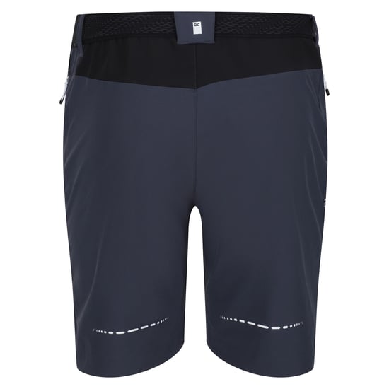 Regatta Mens Mountain II Shorts (India Grey/Black)