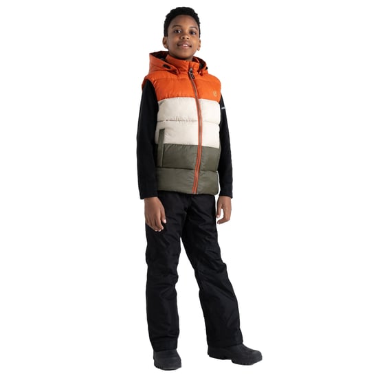 Regatta Childrens/Kids Jolly Padded Gilet (Rooibos Tea/Lichen Green)