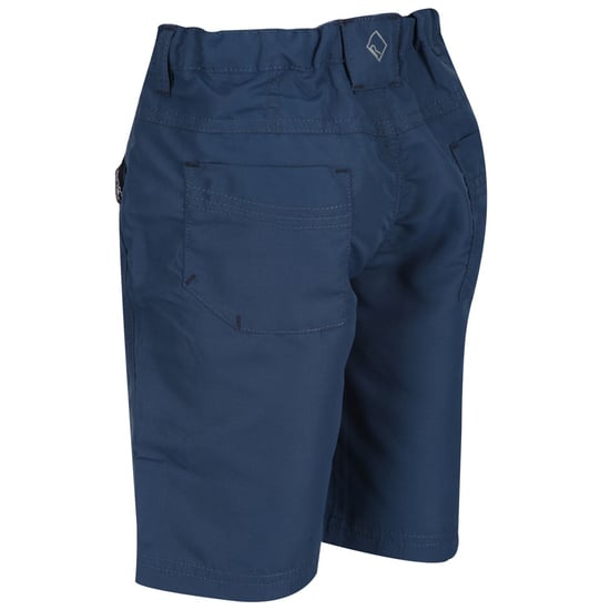 Regatta Childrens/Kids Sorcer II Shorts