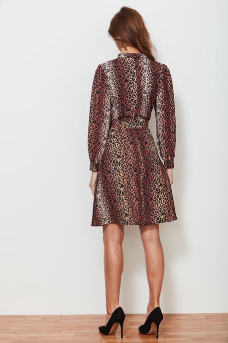 Leopard Print Fit & Flare Dress