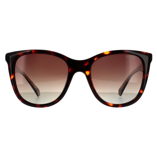 Polaroid Square Womens Havana Brown Gradient Polarized Sunglasses