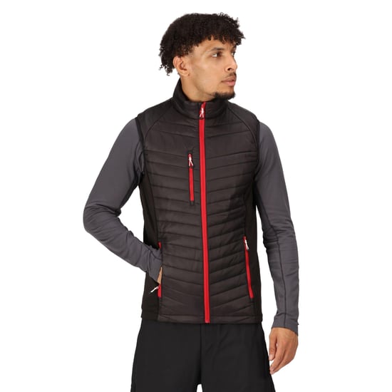Regatta Mens Navigate Quilted Hybrid Gilet (Black/Classic Red)
