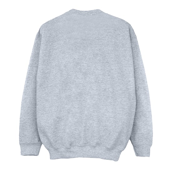 Disney Girls The Lion King Group Sweatshirt (Sports Grey)