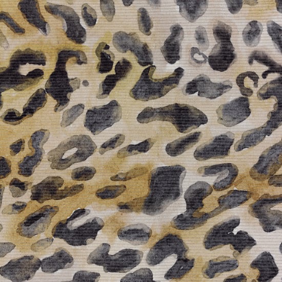 Paoletti Leopardis Leopard Printed Indoor/Outdoor Rug