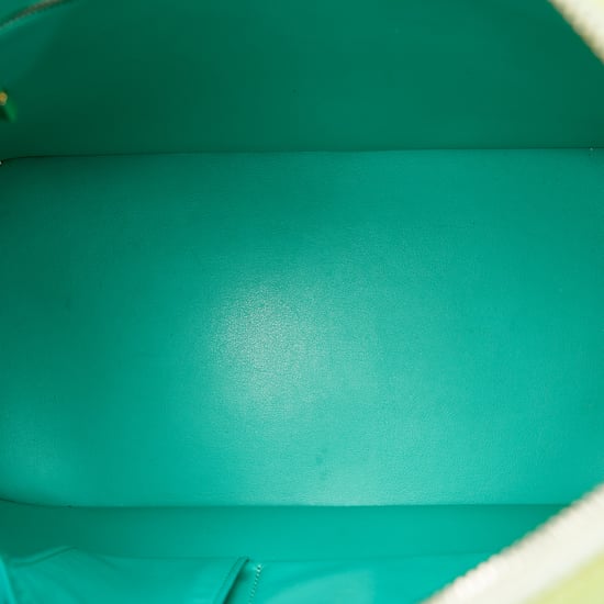 Vintage Louis Vuitton Vernis Houston Green - Image 5
