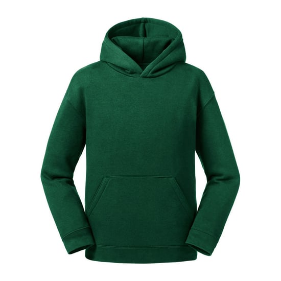 Russell Kinderen/kinderen Authentieke Sweatshirt met kap (Fles groen) - Image 1