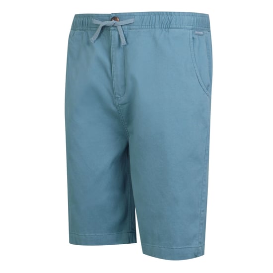 Regatta Mens Aldan Chino Shorts (Coronet Blue) - Image 3