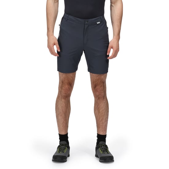 Regatta Mens Mountain II Shorts (India Grey/Black)