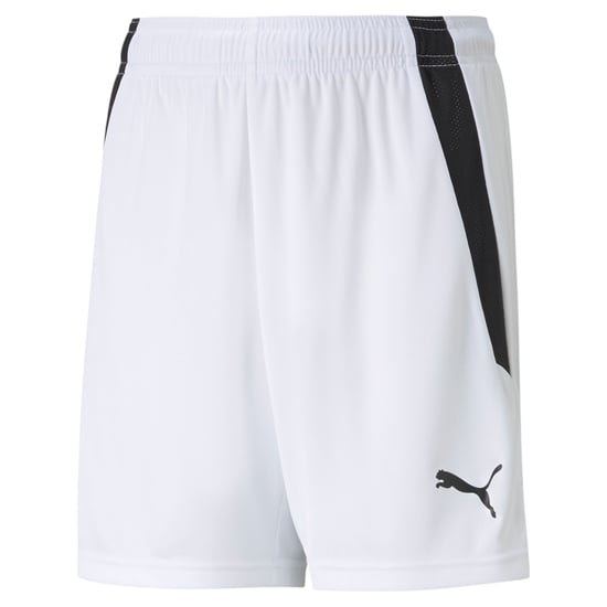 PUMA teamLIGA Youth Football Shorts