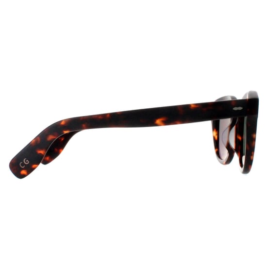 Oliver Peoples Round Unisex Semi Matte Sable Tortoise G-15 Goldtone Cary Grant OV5413SU
